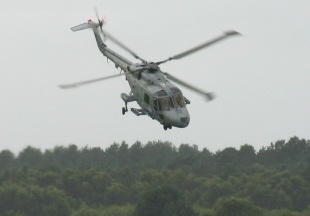 Black Cat Navy Lynx