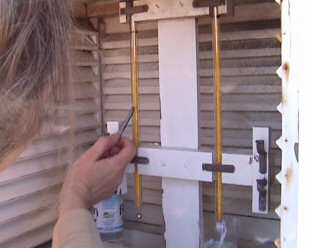 Taking readings from  wet and dry thermometers from within a Stevenson Screen