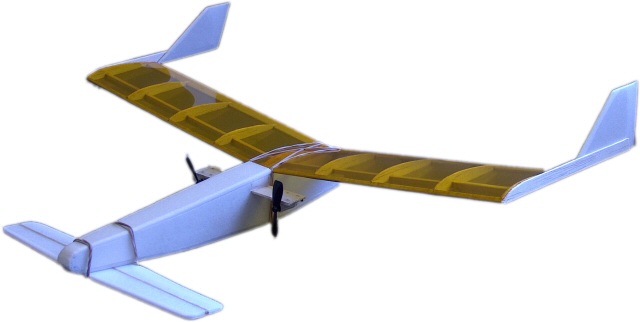 electric Horizon canard