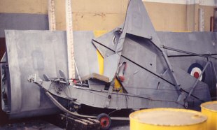 Grasshopper in its original colour scheme