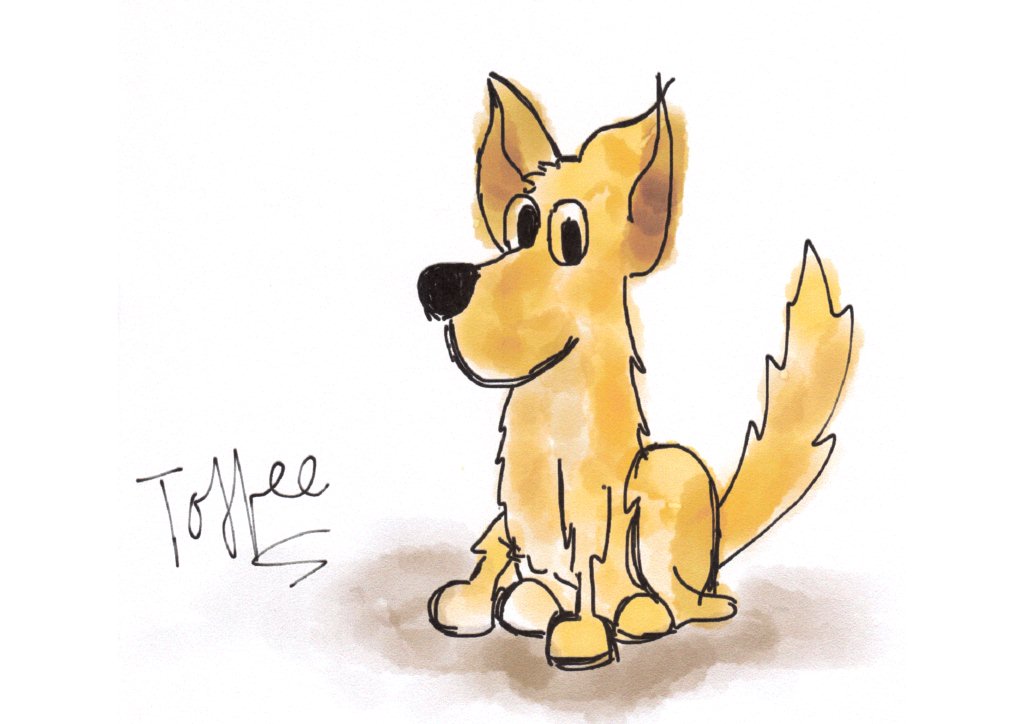 Toffee by Lucy Norris