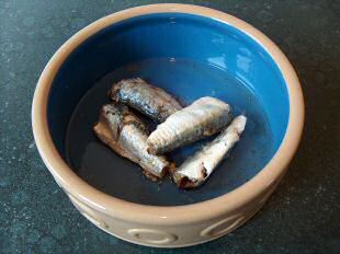 sardines au dog bowl