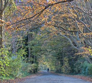 Saint Luke's Church Road