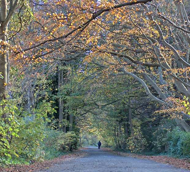 Saint Luke's Church Road Saint Luke's Church Road