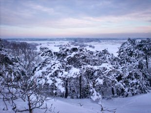 Formby dunes in snow