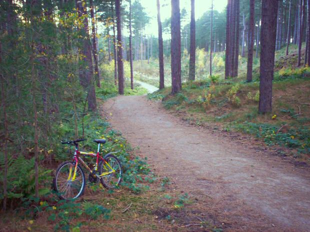 Dobson's Ride Dobson's Ride