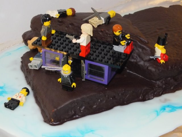 Cake created for the end of run party