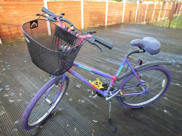 Newly modified Raleigh Monterey Newly modified Raleigh Monterey