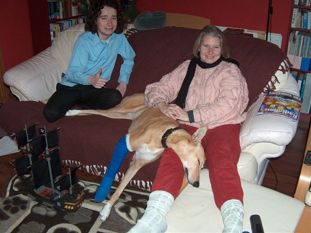 Toffee relaxing with "Primary" and "Secondary"